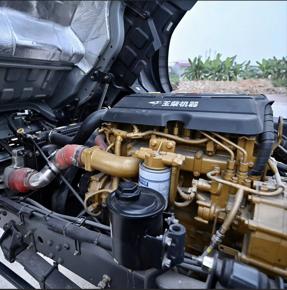 Anh 5